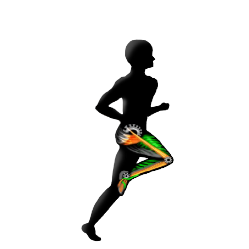 Gait Analysis Running Assessments