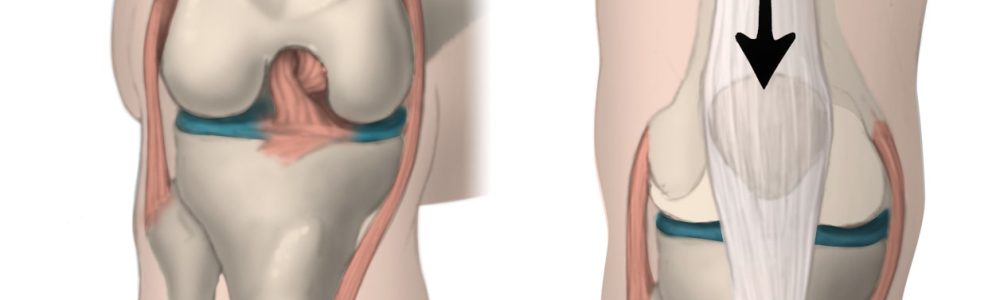 a00680f02_body-almanac-min